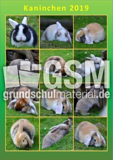 Kaninchen_Kalender_2019_2.pdf